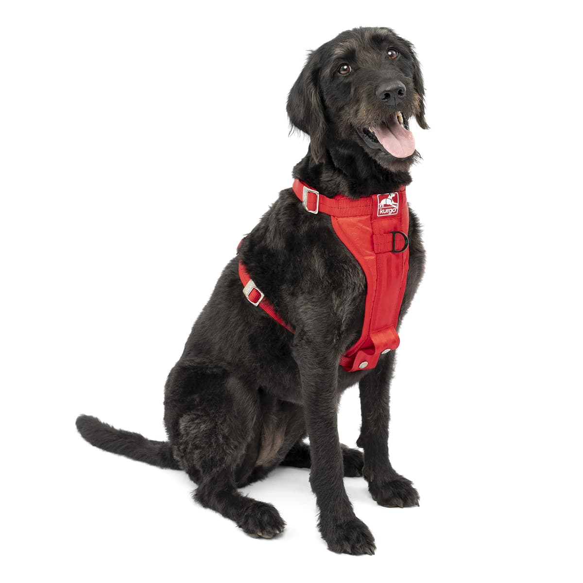 Kurgo Tru-Fit Smart Dog Walking Harness - Comfortable Fit - Adjustable Harness - Reflective Pet Wear - Quick Strap Release - Daily Walk Accessory - Includes Seat Belt Loop - Black - Medium — view 12
