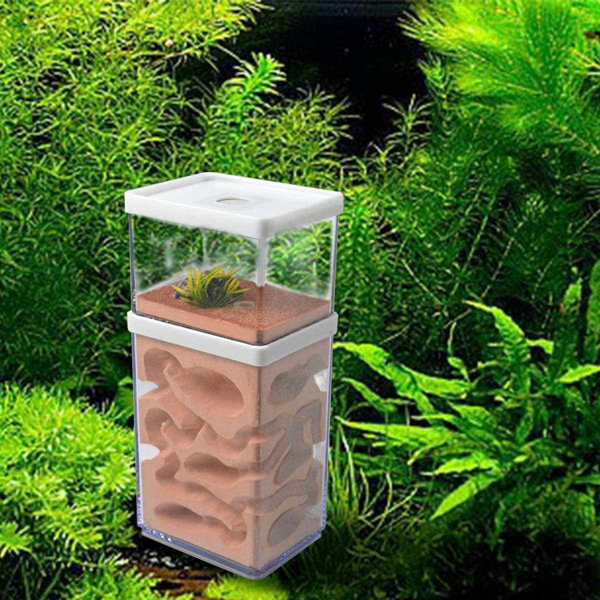 aleawol Ant Nest Farm Natural Gypsum, Transparent Ant Formicarium World House Feeding Box for Observing Habits Science Experiment Gift — view 7