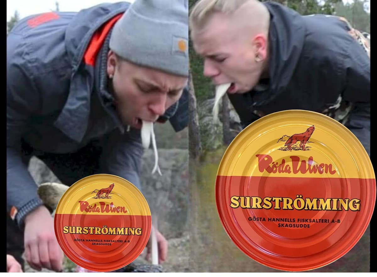 Surströmming ARENQUE | Especialidad sueca | Röda Ulven 300g/400g Lata (arenque fermentado) | Desafío Surströmming | Pescado de Suecia — view 2