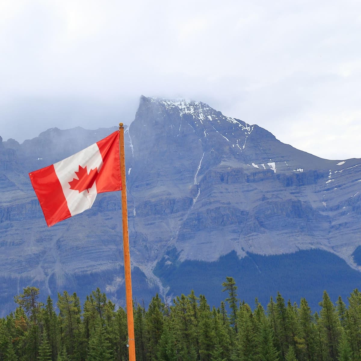 Runesol Cornwall Flag - 91x152cm, 3ft x 5ft, Cornish Flag, 4 Grommets, Eyelet in Every Corner, Premium Quality, Inside & Outside Use, Vivid Colours — view 791