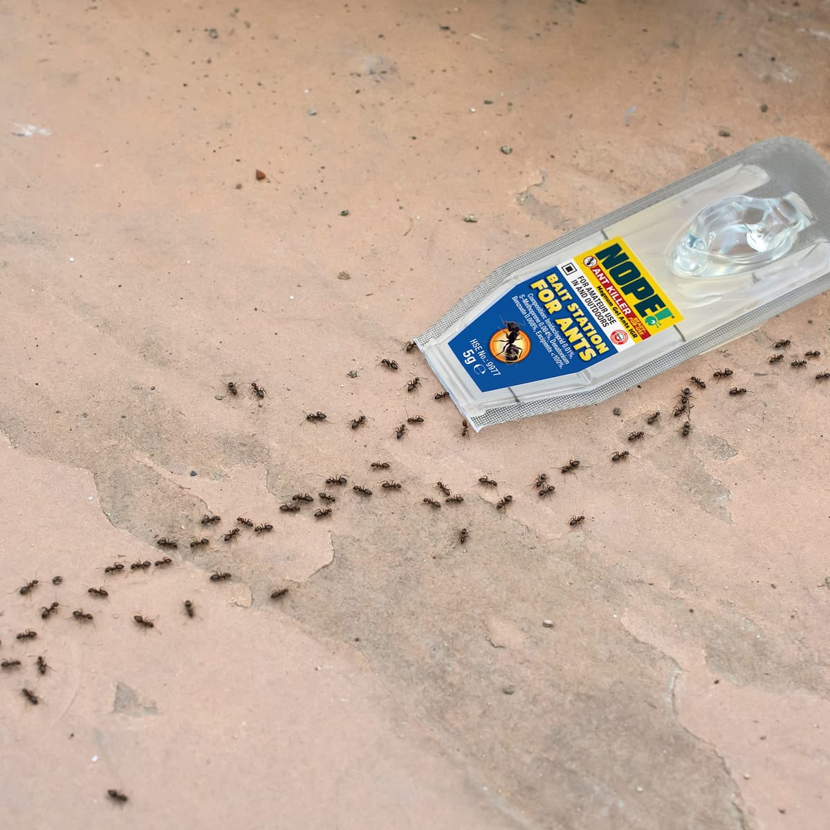 NOPE! Ant Killer Bait Station (6 x 5g) Indoor & Outdoor Ant Traps. Eradicates Ants and their Colony & Nest — view 4