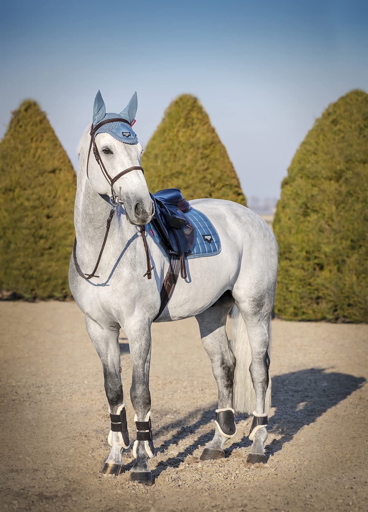 LeMieux Classic Crochet Fly Hood with Comfortable Lycra Ears - Sport Horse Wear for Competitive Rider — view 2