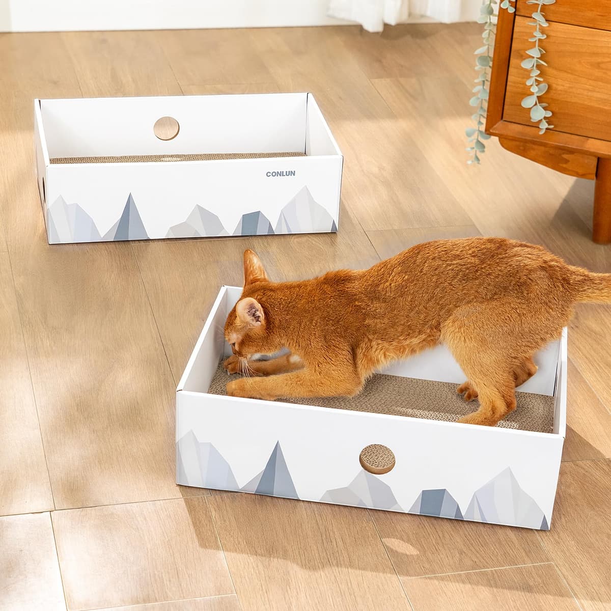 Conlun Rascador para Gatos con Caja, Rascador Gato Grande y Resistente, Doble Cara, Agujeros Interactivos, Zona de Descanso Antisuciedad para Interior (2 Unidad, Grande, Blanco) — view 2