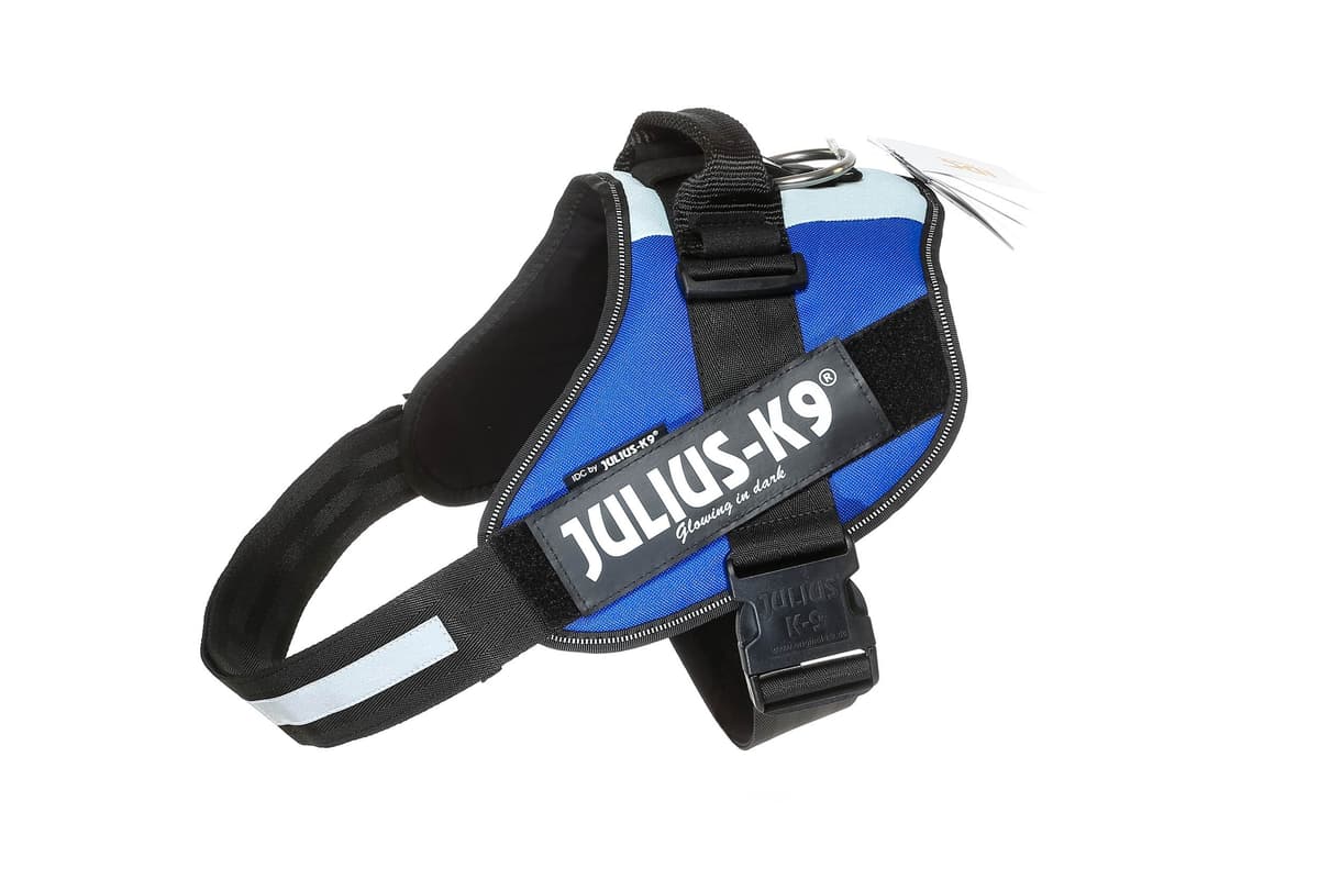 Julius-K9, 16IDC-AM-M, IDC Powerharness, dog harness, Size: Mini, Aquamarine — view 309