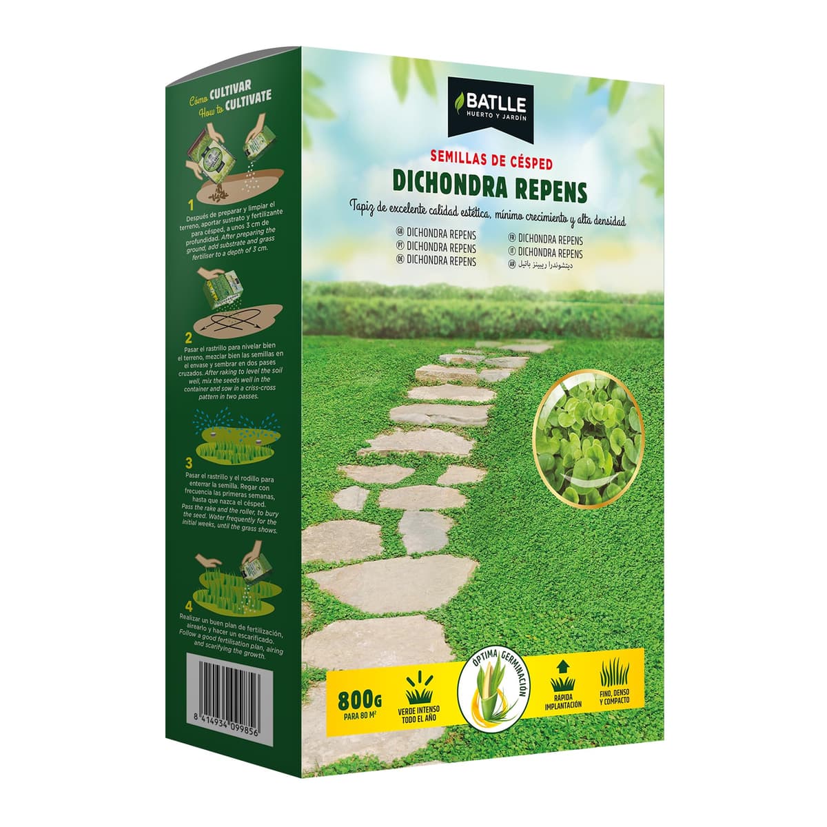 Semillas Batlle Dichondra Repens — view 5