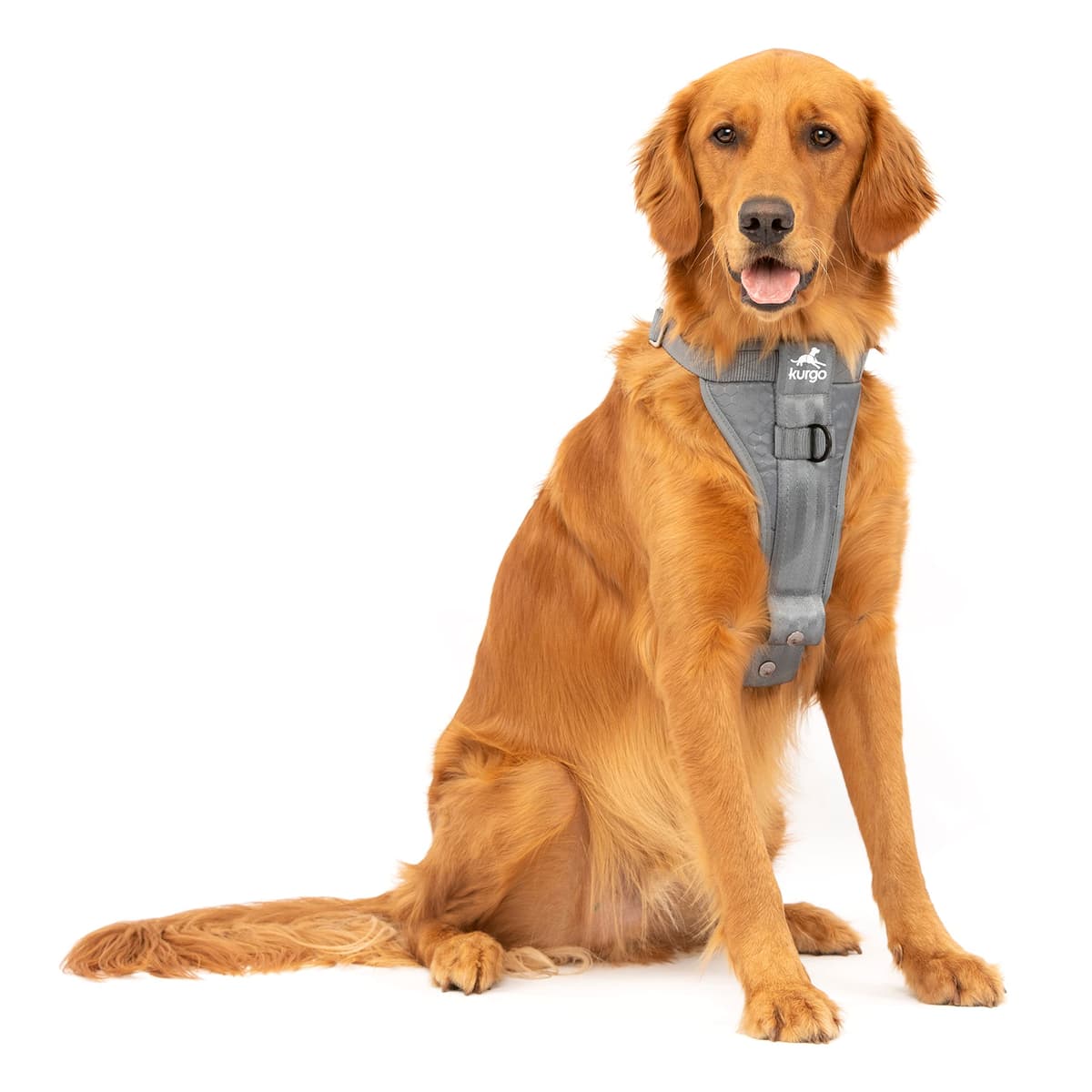 Kurgo Tru-Fit Smart Dog Walking Harness - Comfortable Fit - Adjustable Harness - Reflective Pet Wear - Quick Strap Release - Daily Walk Accessory - Includes Seat Belt Loop - Black - Medium — view 10