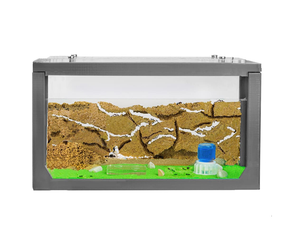Anthouse.es - Hormiguero Natural de Arena - Kit Inicio Acrílico 20x10x10 cm - Granja de Hormigas con Colonia de Hormigas, Arena, Piptea y Bebedero Incluido - Fácil Instalación — view 8