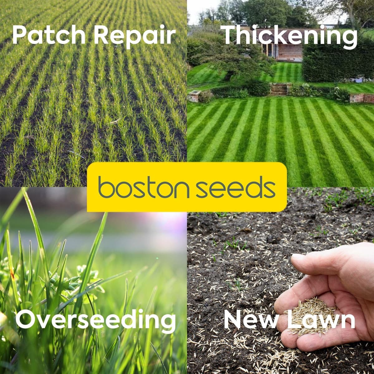 Boston Seeds Fast Growing Grass Seed - Hard Wearing Grass Seeds in Various Weights. Rapid Germination Seeds for Lawns & Landscapes (Eco - 5 Kilogram). — view 5