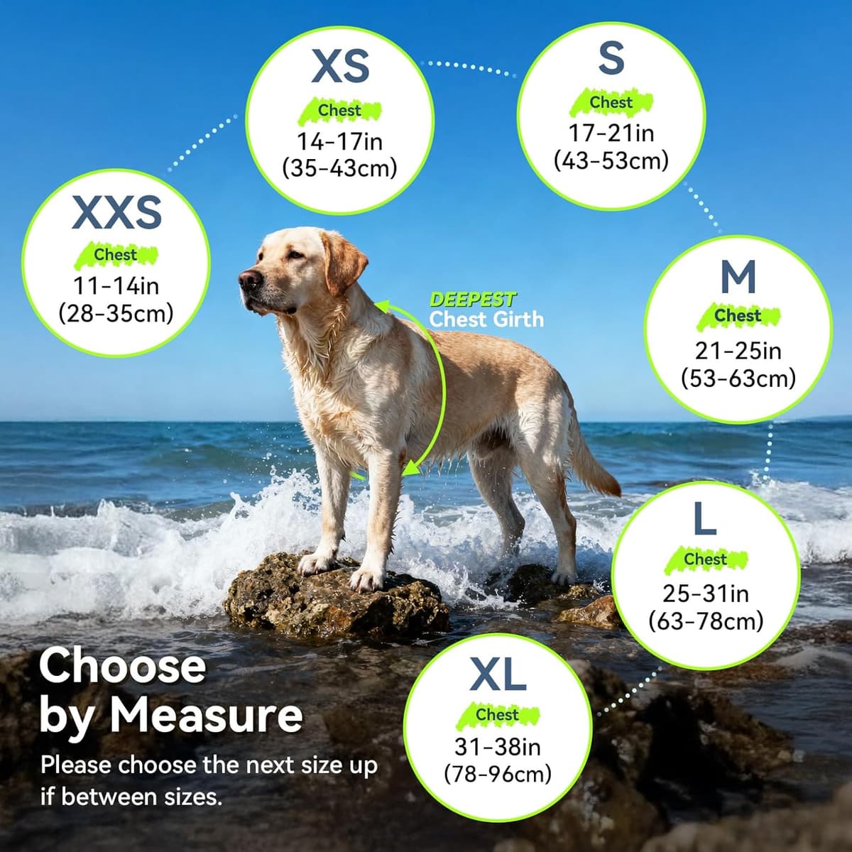 VIVAGLORY Rip Stop Dog Life Jacket, Buoyancy Aid with Handle, Buoyancy for Doggy, Dog Life Jacket for Swimming & Boating, S, Bright Orange — view 5