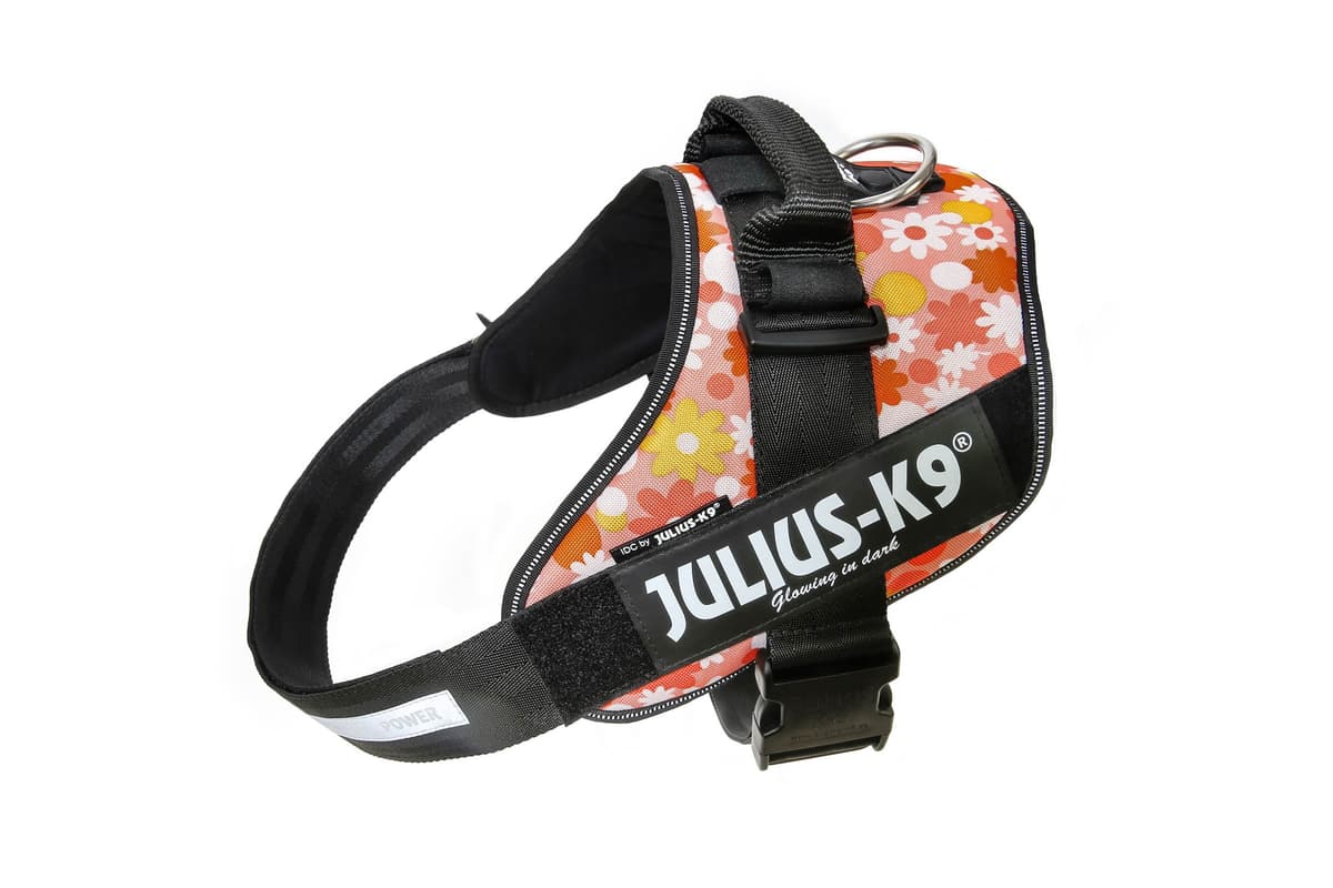 Julius-K9, 16IDC-AM-M, IDC Powerharness, dog harness, Size: Mini, Aquamarine — view 186