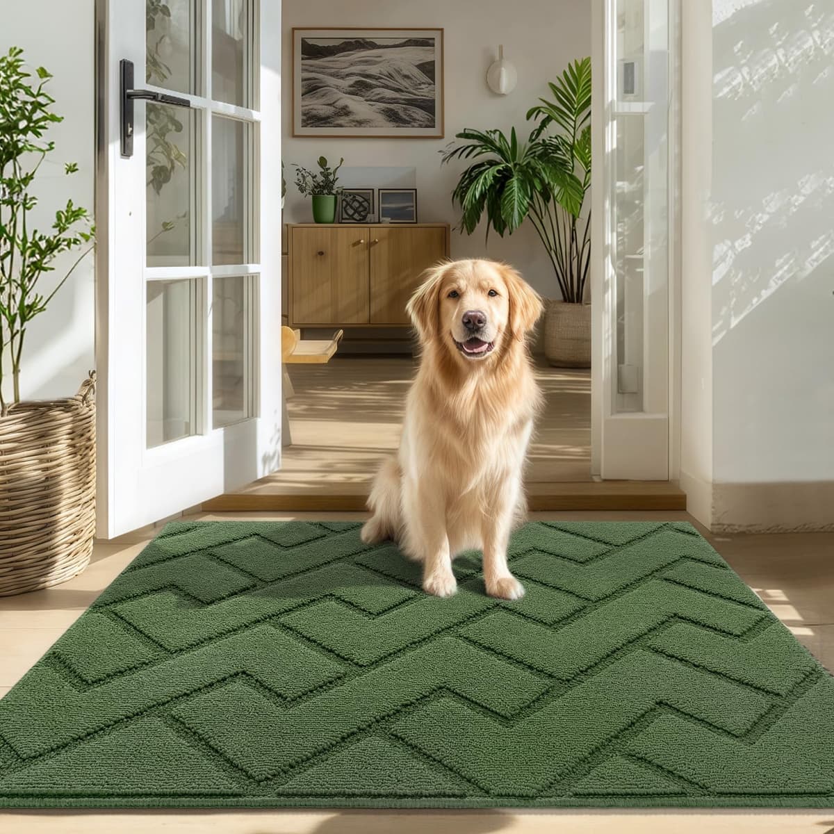 Biscpro Door Mats Indoor,Dirt Trapper Mat Absorbent Non-Slip Low Profile Doormat for Entrance,Inside, Kitchen,Front Door Mat Washable for Pets and Dogs— 50x80cm,Grey — view 25