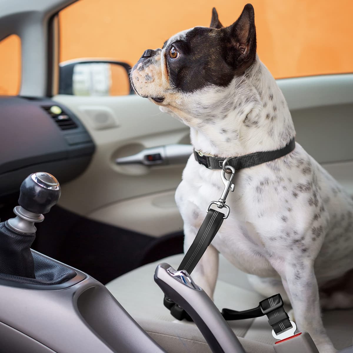 Dog Seat Belt for Car - Adjustable Dog Car Safety Harness (Black) — view 4