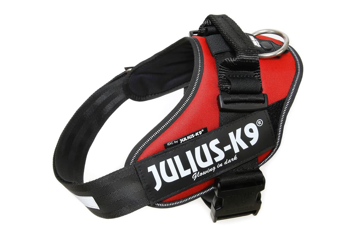 Julius-K9, 16IDC-AM-M, IDC Powerharness, dog harness, Size: Mini, Aquamarine — view 156
