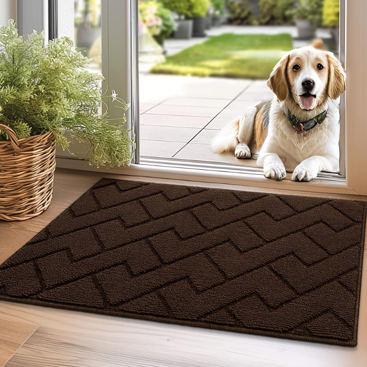 Biscpro Door Mats Indoor,Dirt Trapper Mat Absorbent Non-Slip Low Profile Doormat for Entrance,Inside, Kitchen,Front Door Mat Washable for Pets and Dogs— 50x80cm,Grey — view 85