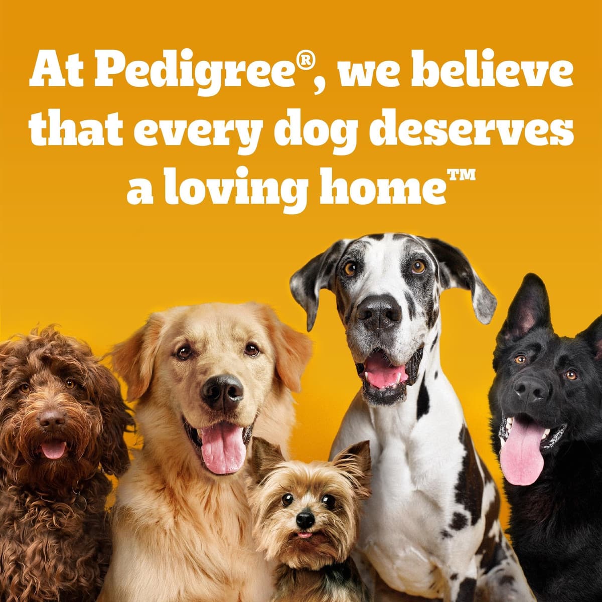 Pedigree Schmackos Mega Pack 110/112 Strips Snacks, Dog Treat Multipack with Beef, Lamb and Poultry Flavours — view 9