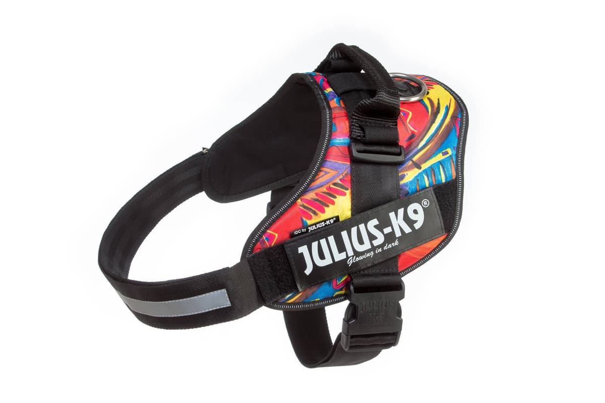 Julius-K9, 16IDC-AM-M, IDC Powerharness, dog harness, Size: Mini, Aquamarine — view 187