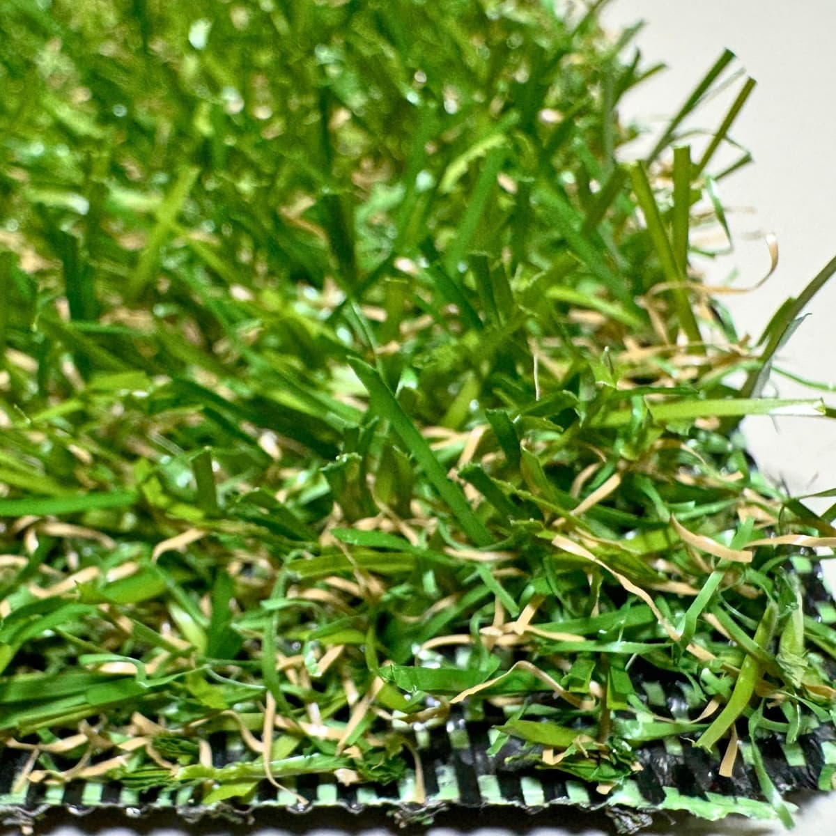 Rollos de Césped Artificial 20mm. Ideal para Terrazas, Patios, Jardines. Multitud de Formatos disponibles de Corte. Mod Benidorm (1mx5m = 5m2) — view 5