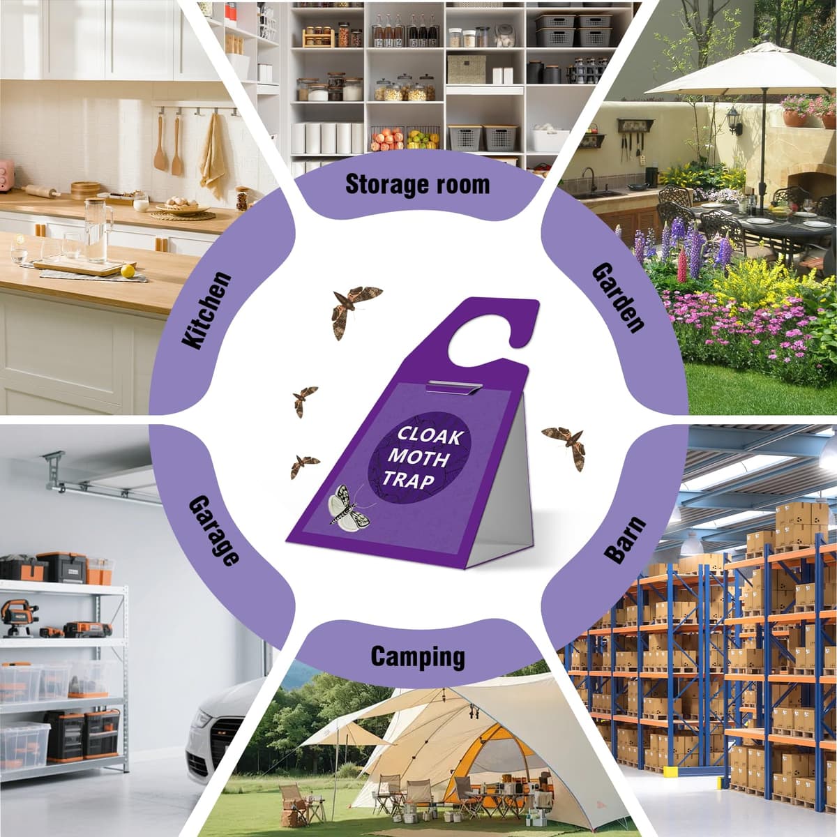 6-Pack Moth Traps for Wardrobes, Versatile Sticky Insect Catcher for Indoor Use, Odourless Traps for Clothes Moths, Gnats, and Flying Pests — view 5