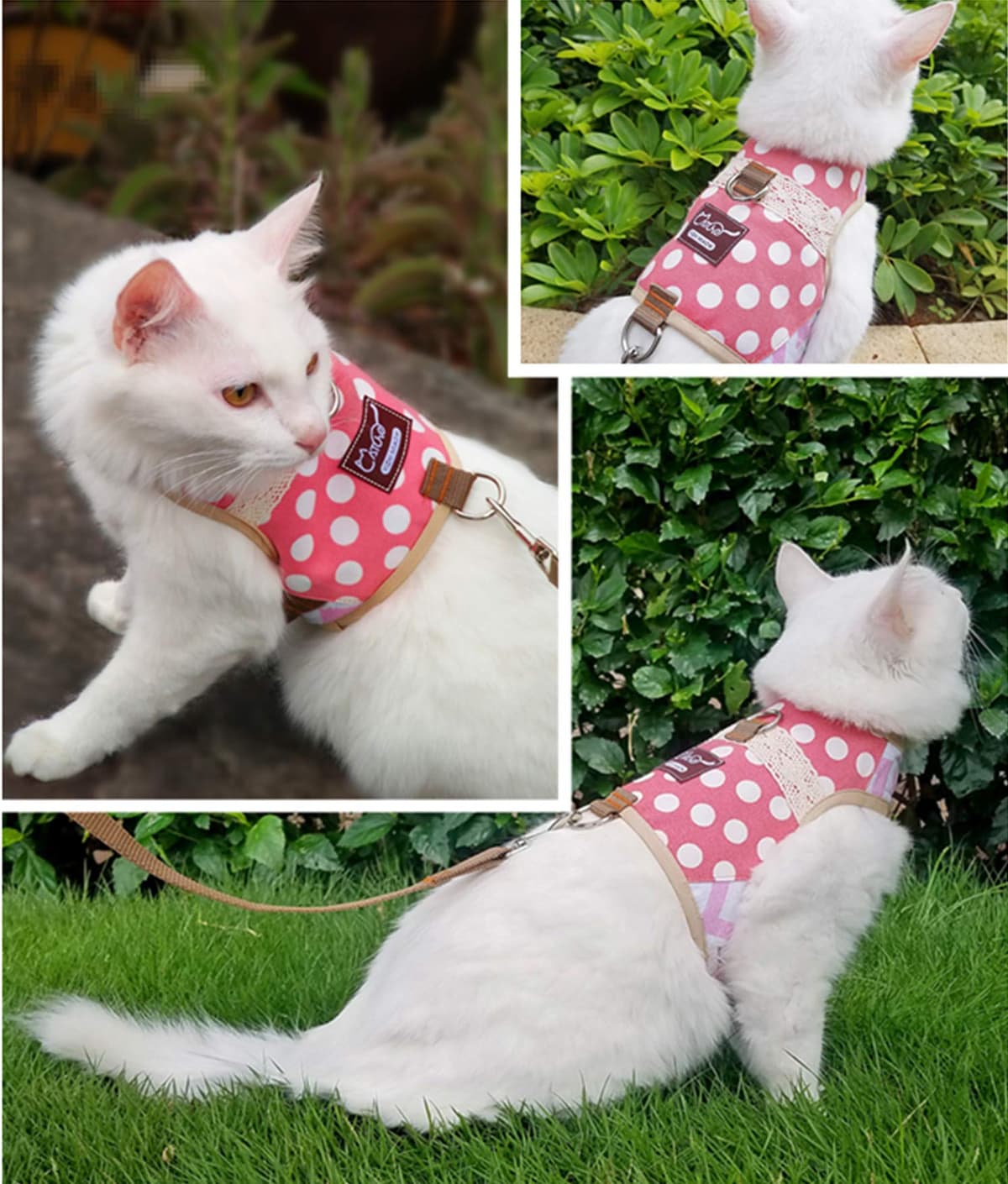 Yizhi Miaow Escape Proof Cat Harness with Leash Large, Adjustable Cat Walking Jackets, Padded Cat Vest Polka Dot Pink — view 6