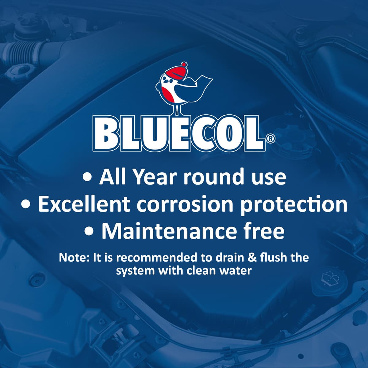 Bluecol Universal Antifreeze, 1 L — view 7
