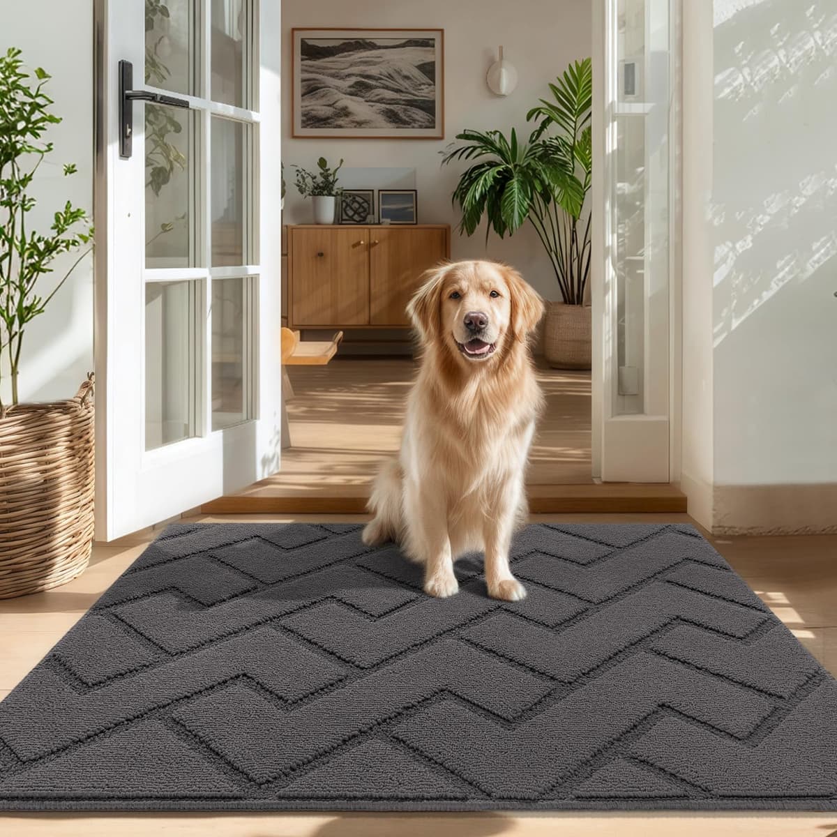 Biscpro Door Mats Indoor,Dirt Trapper Mat Absorbent Non-Slip Low Profile Doormat for Entrance,Inside, Kitchen,Front Door Mat Washable for Pets and Dogs— 50x80cm,Grey — view 52