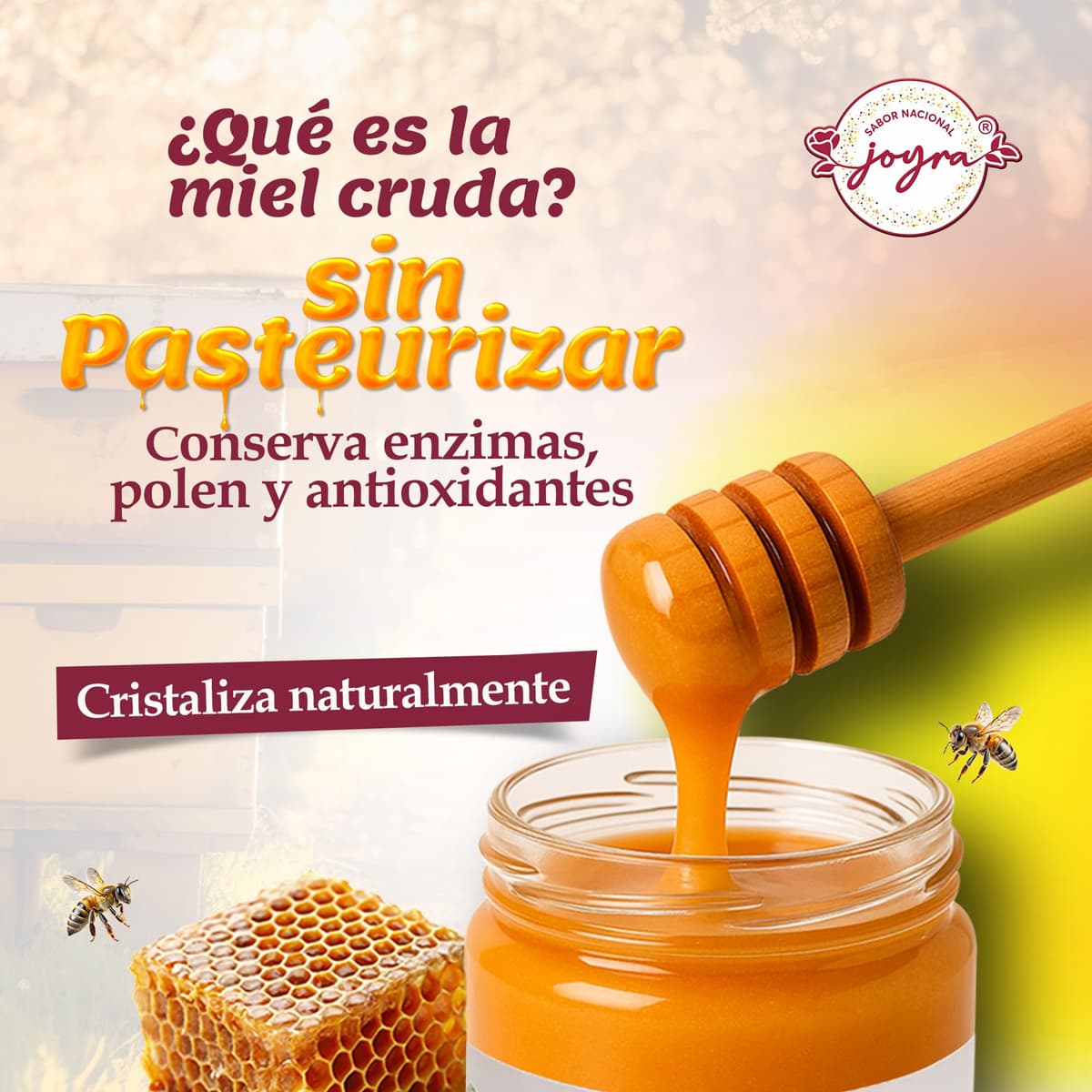 Miel Cruda, 100% MIel Pura de Abeja. Natural y Artesanal. 27 Variedades de sabores, APICULTURA ESPAÑOLA. Sin Pasteurizar, conservan Polen, Enzimas y Antioxidantes. (1 KG, Miel de Eucalipto) — view 3