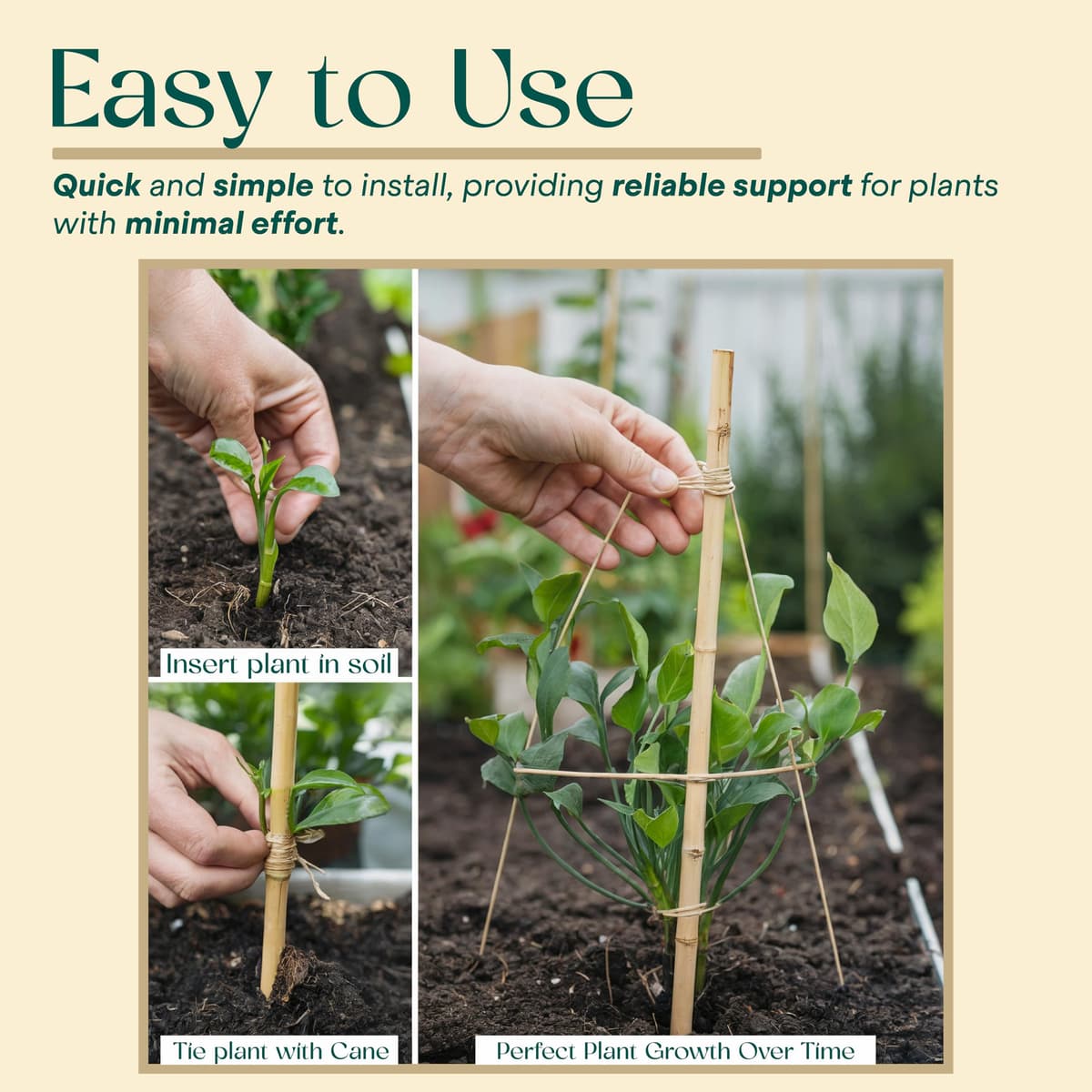 Gardens 2Ft,3Ft,4Ft,5Ft,6Ft,7Ft,8FT,10Ft Strong Heavy Duty Professional Bamboo Plant Support Garden Canes (10, 3ft, 12-14 mm) — view 5
