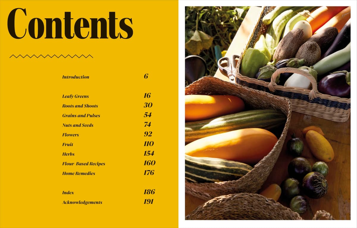 Low Waste Living: Recipes to Reduce Waste and Live Life Sustainably — view 4