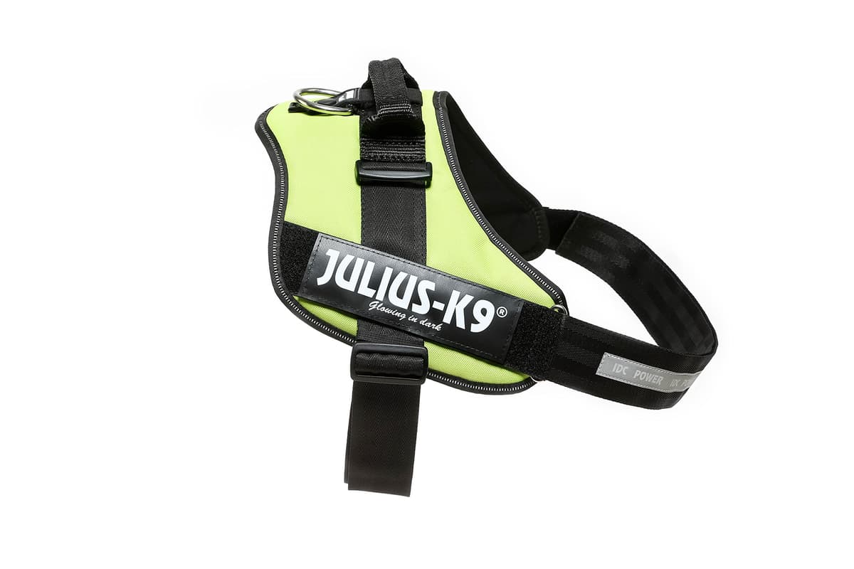 Julius-K9, 16IDC-AM-M, IDC Powerharness, dog harness, Size: Mini, Aquamarine — view 282
