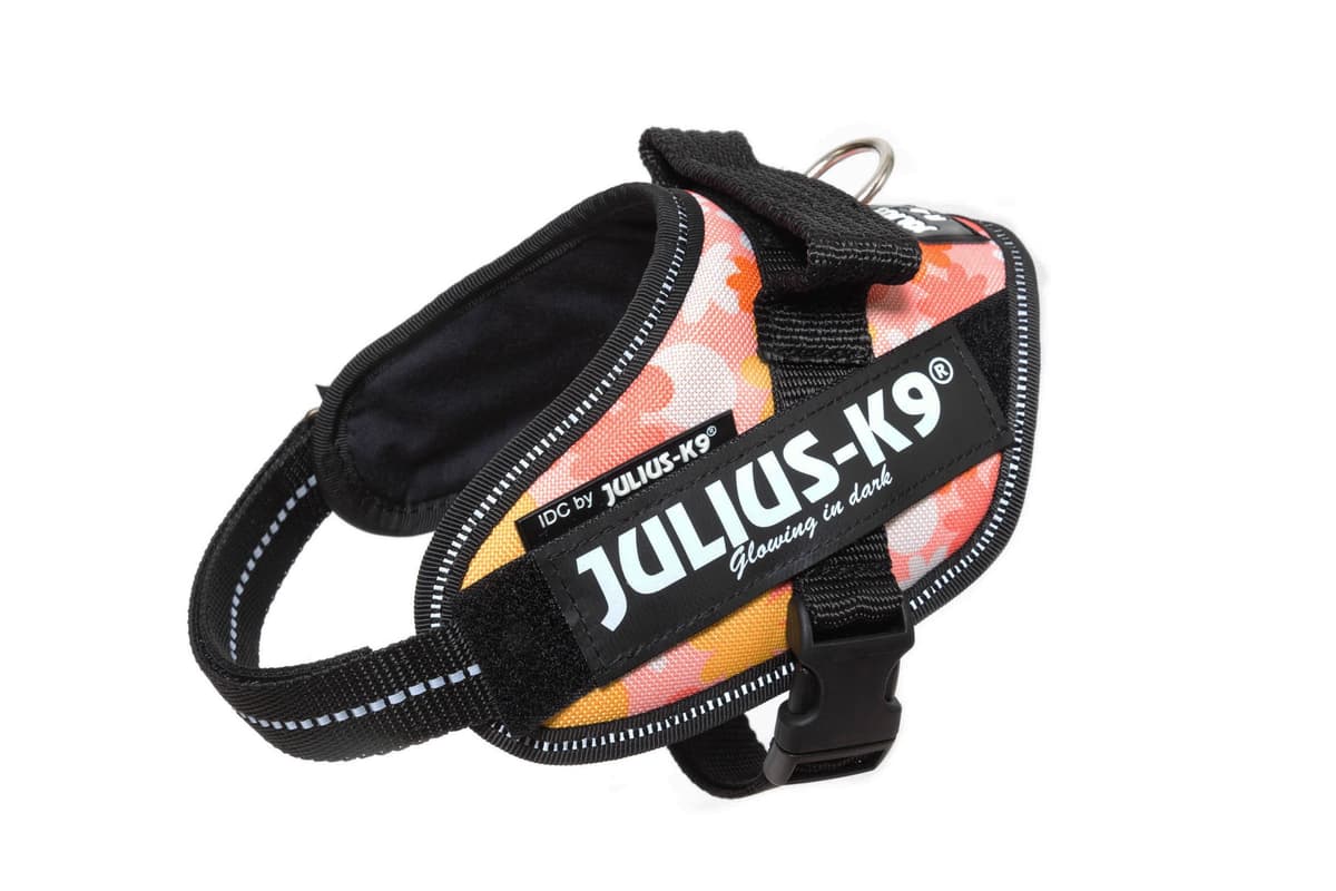 Julius-K9, 16IDC-AM-M, IDC Powerharness, dog harness, Size: Mini, Aquamarine — view 408