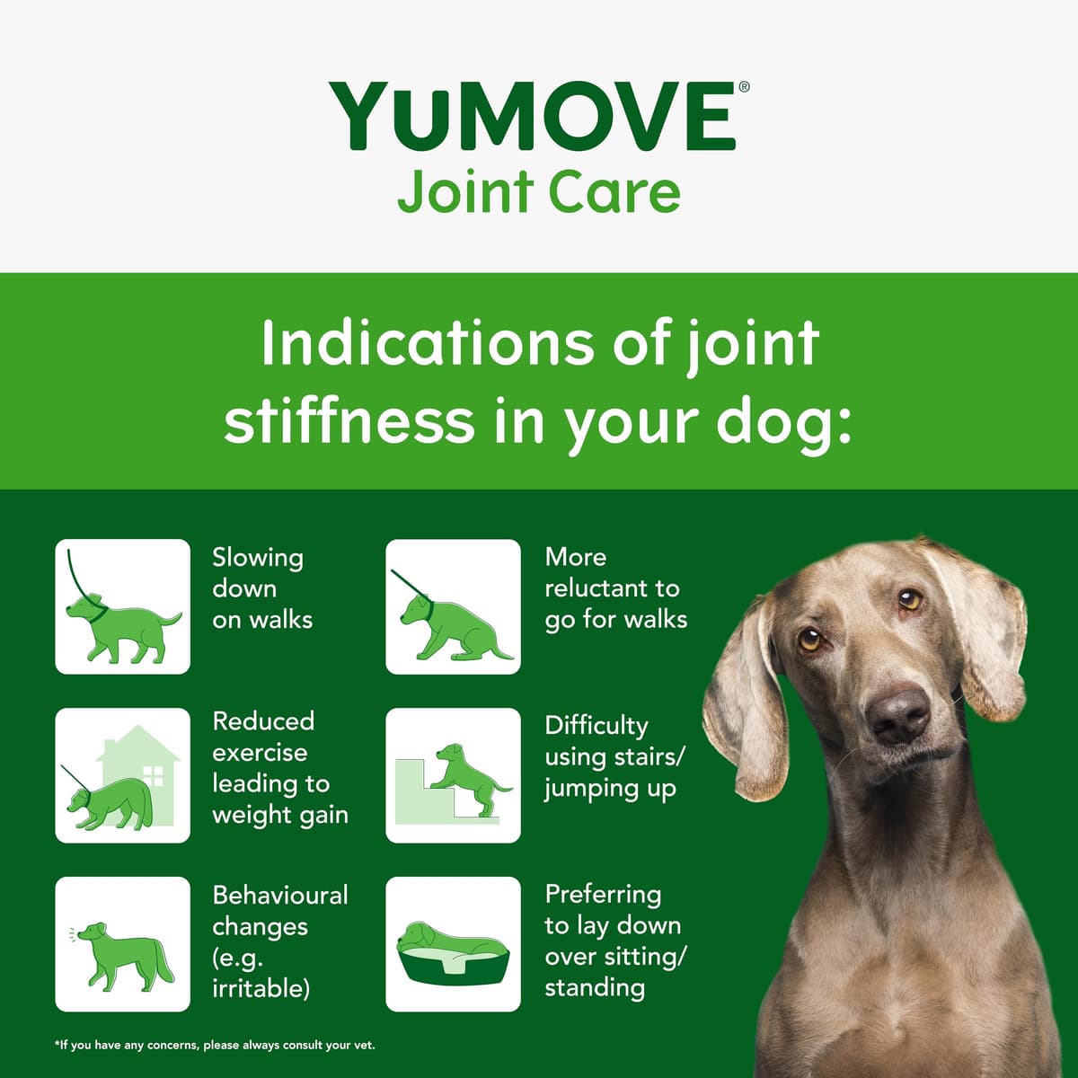 YuMOVE Joint Supplement for Dogs, Essential Dog Hip and Joint Support for Adult Dogs with Glucosamine, Chondroitin, Green Lipped Mussel, Aged 6 to 8, 120 Tablets — view 4