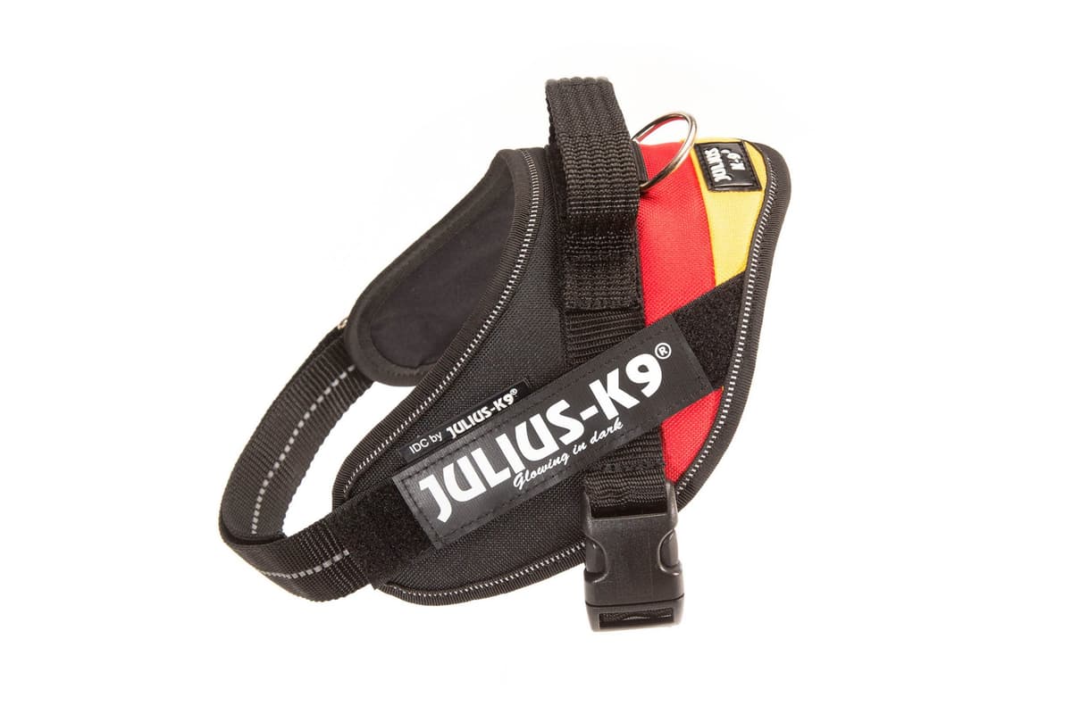Julius-K9, 16IDC-AM-M, IDC Powerharness, dog harness, Size: Mini, Aquamarine — view 320