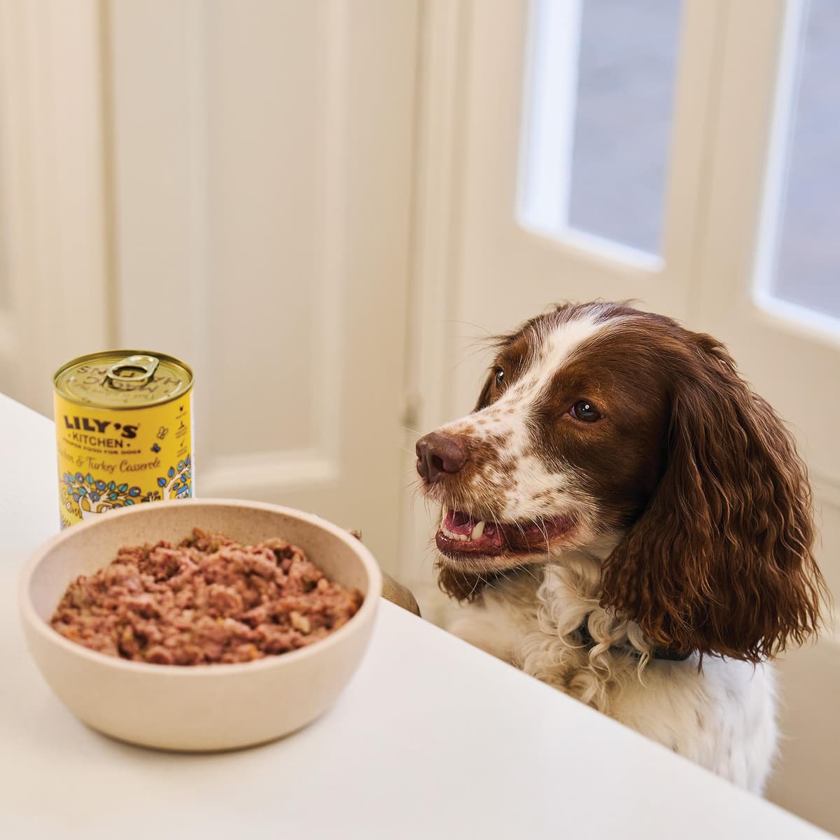 Lily's Kitchen Natural Adult Wet Dog Food Tins Classic Dinners Variety Pack 12 x 400g — view 5