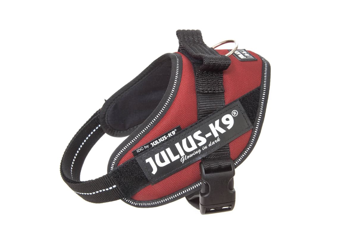 Julius-K9, 16IDC-AM-M, IDC Powerharness, dog harness, Size: Mini, Aquamarine — view 143