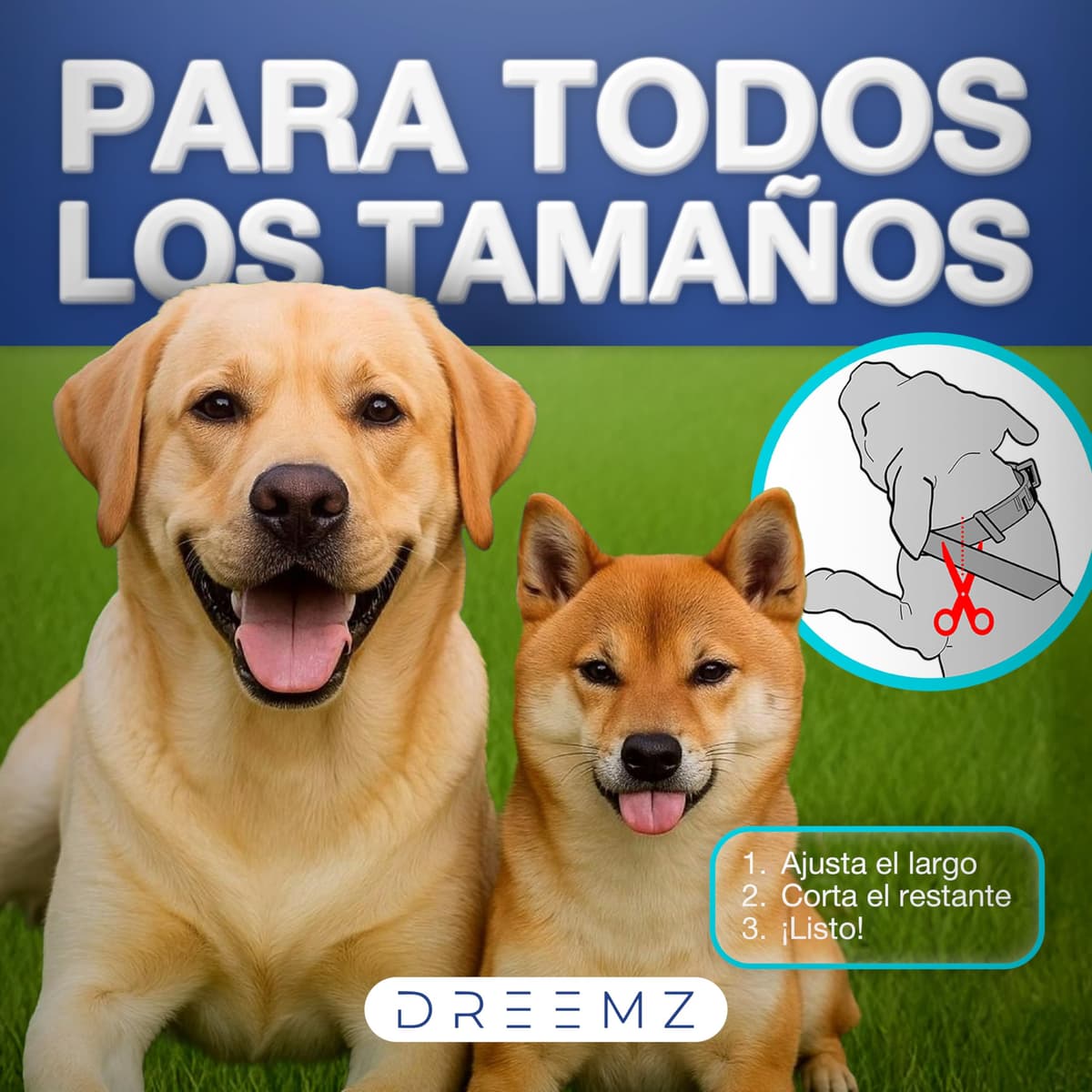 DREEMZ Collar Repelente de Insectos - Antipulgas Perros, garrapatas y Mosquitos, 8 Meses protección-63cm -100% Vegetal-Impermeable - Formatos (1 Und Gris) — view 3