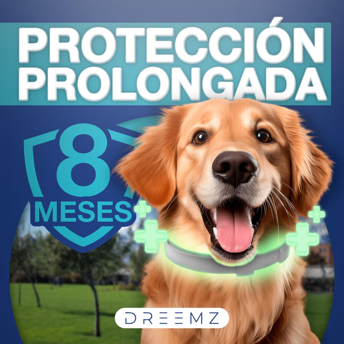 DREEMZ Collar Repelente de Insectos - Antipulgas Perros, garrapatas y Mosquitos, 8 Meses protección-63cm -100% Vegetal-Impermeable - Formatos (1 Und Gris) — view 2