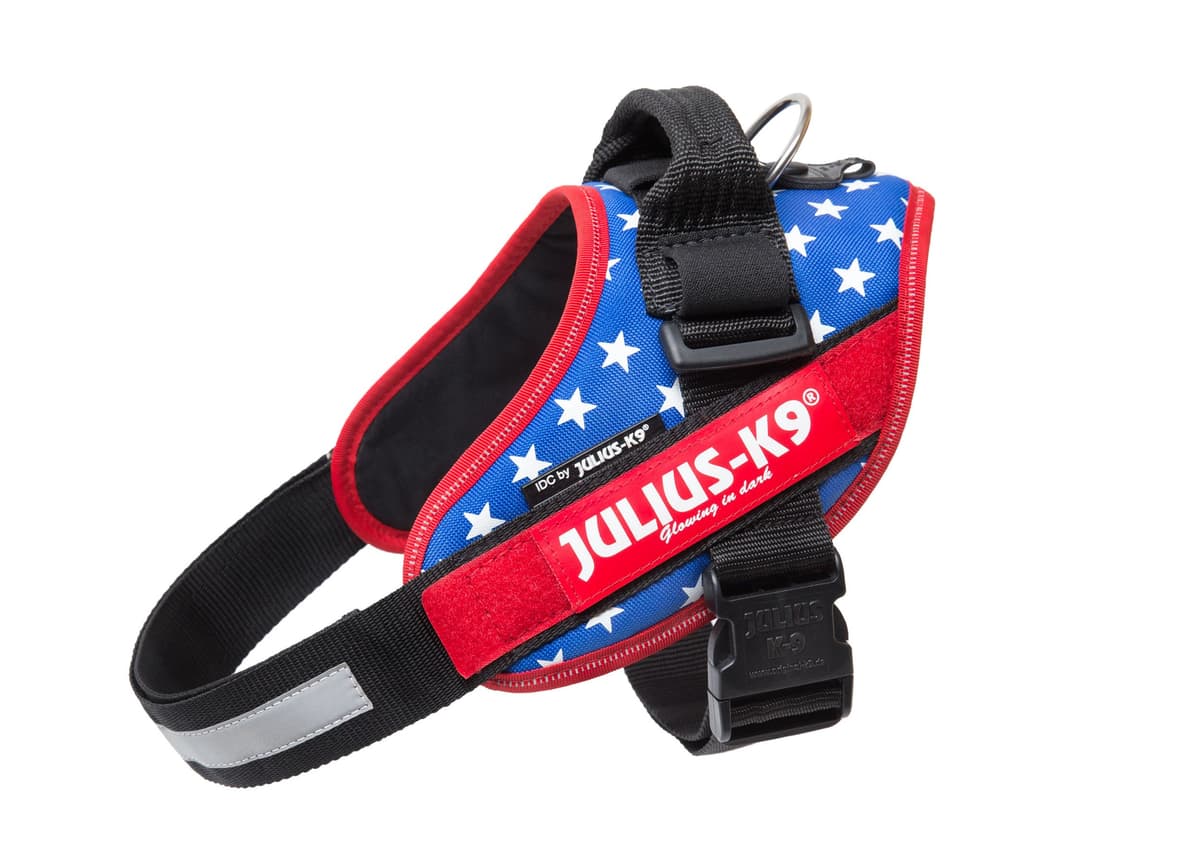 Julius-K9, 16IDC-AM-M, IDC Powerharness, dog harness, Size: Mini, Aquamarine — view 59