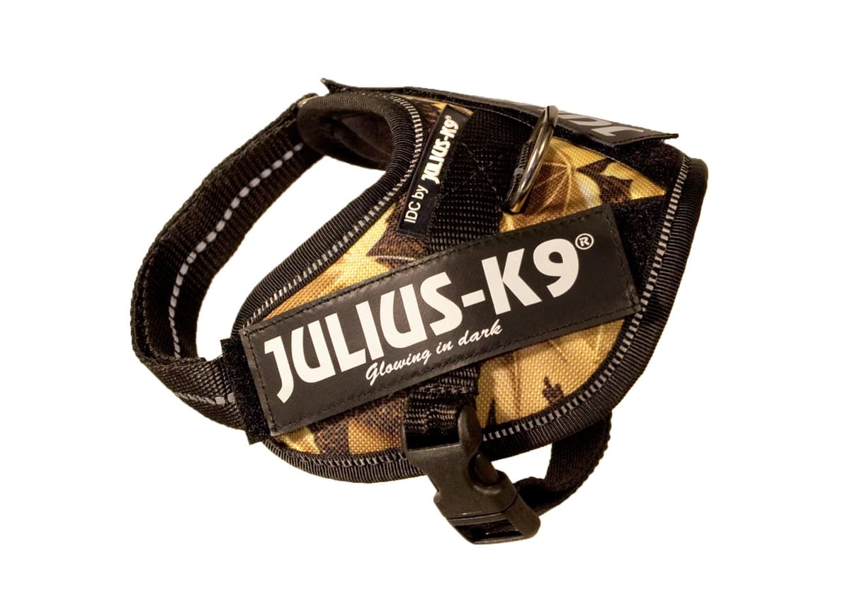 Julius-K9, 16IDC-AM-M, IDC Powerharness, dog harness, Size: Mini, Aquamarine — view 291
