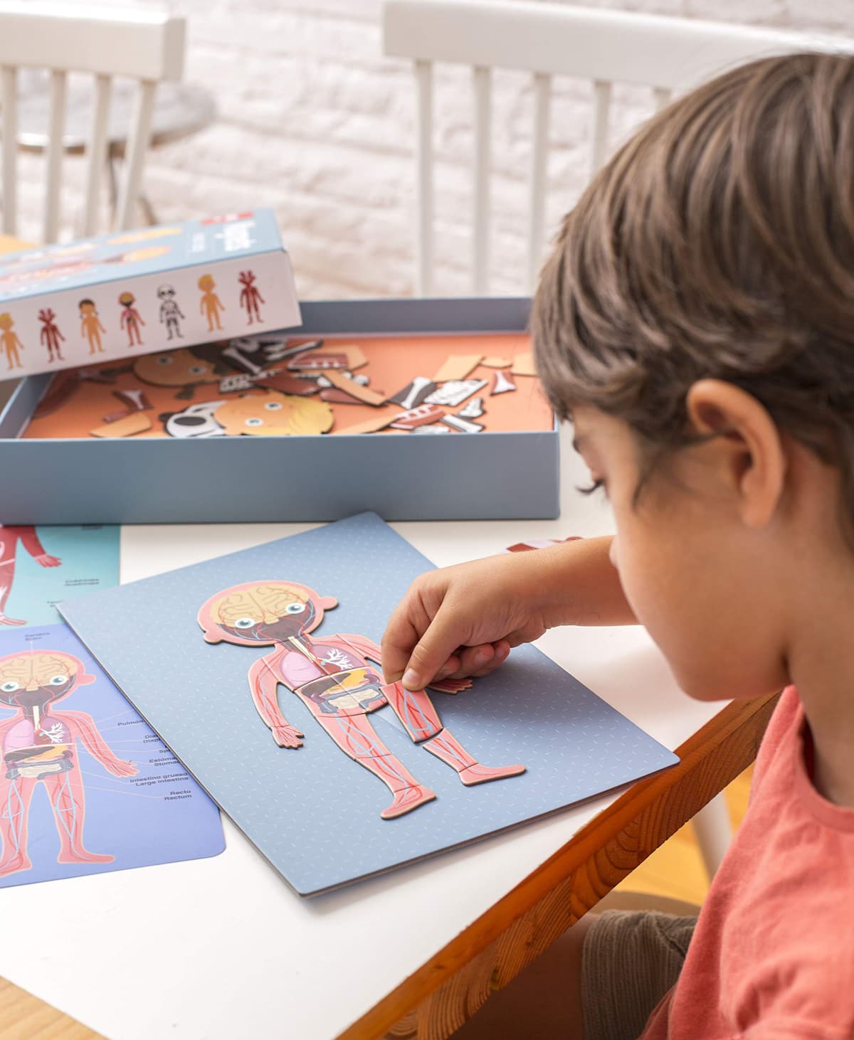 APLI Kids 18531 - Juego Magnético Educativo sobre el Cuerpo Humano para niños a Partir de 5 años — view 5