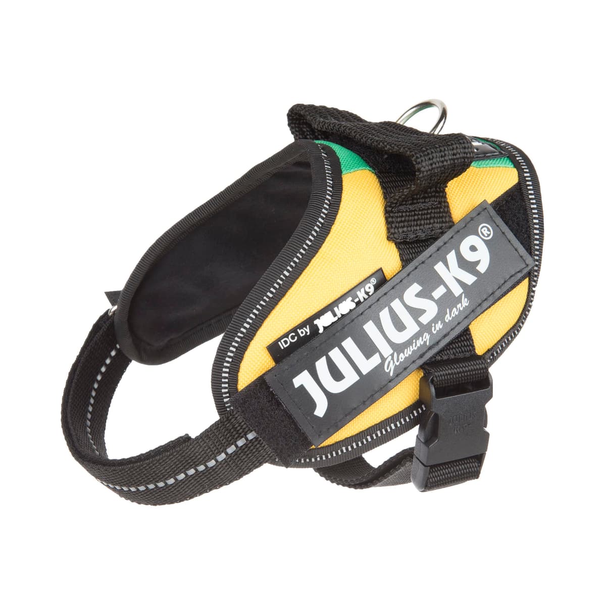 Julius-K9, 16IDC-AM-M, IDC Powerharness, dog harness, Size: Mini, Aquamarine — view 165