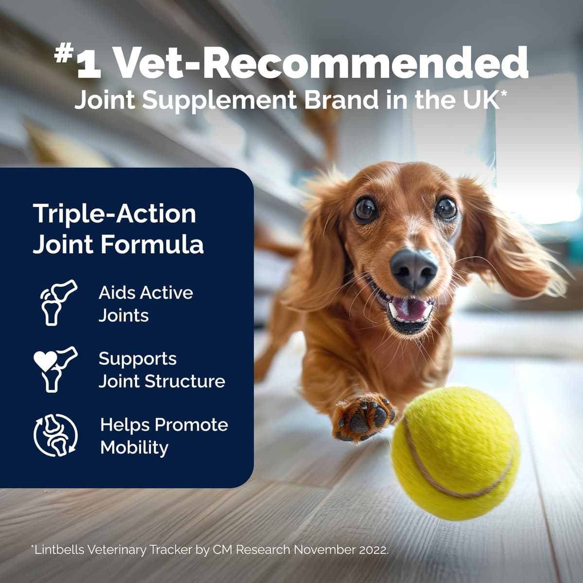 YuMOVE Young and Active Dog | Joint Supplement for Dogs to Support Active and Growing Joints Aged Under 6 | 60 Tablets Clear — view 3