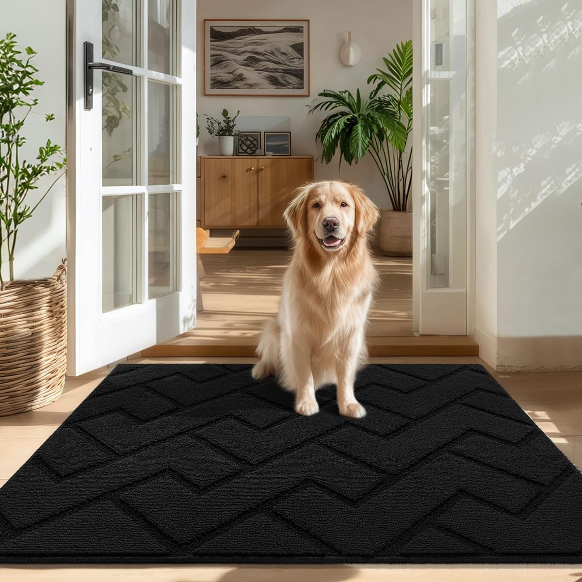 Biscpro Door Mats Indoor,Dirt Trapper Mat Absorbent Non-Slip Low Profile Doormat for Entrance,Inside, Kitchen,Front Door Mat Washable for Pets and Dogs— 50x80cm,Grey — view 9