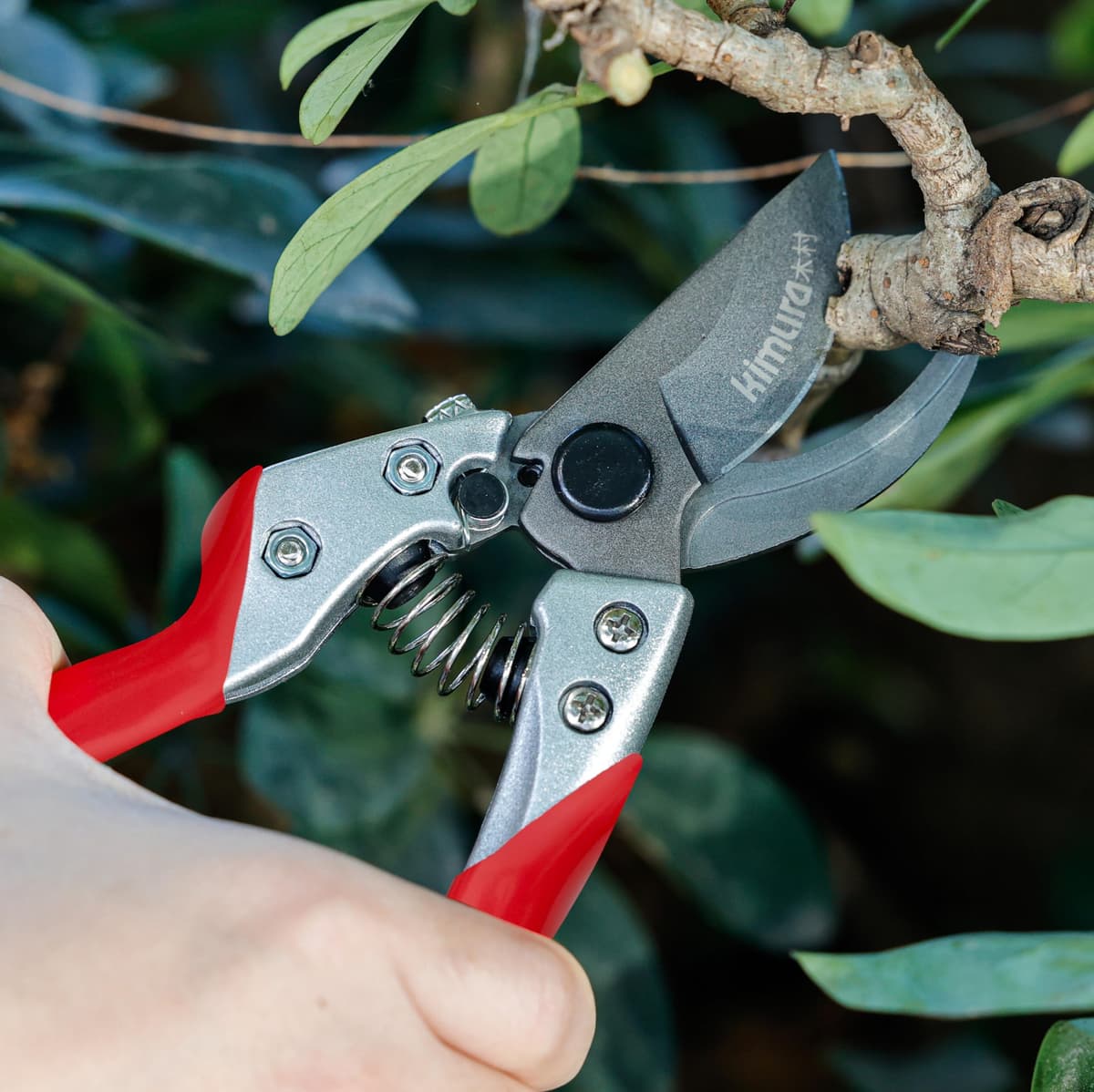 Kimura® 8" Pro Bypass Garden Secateurs, Heavy Duty Premium Japanese SK5 Steel Blades, Non-Slip PVC Coated Handles, Lightweight & Ergonomic, Japanese Bypass Pruning Shears — view 5