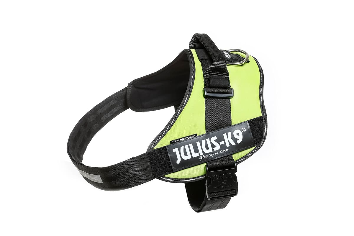 Julius-K9, 16IDC-AM-M, IDC Powerharness, dog harness, Size: Mini, Aquamarine — view 313