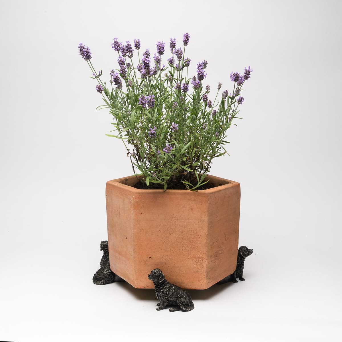 Potty Feet Retriever Figures Plant Pot Feet - Planter Support - Handmade Decorative Ornaments - 3pcs — view 2