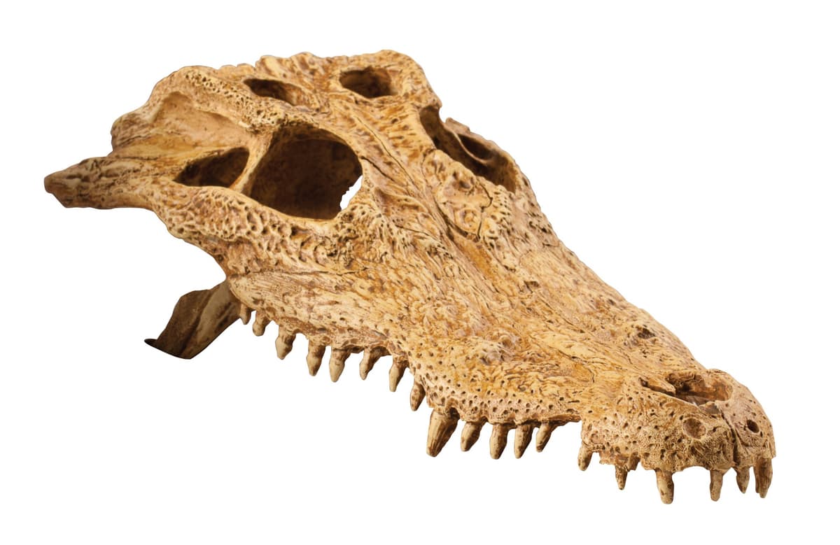 Exo Terra Cueva Dino T-Rex — view 2