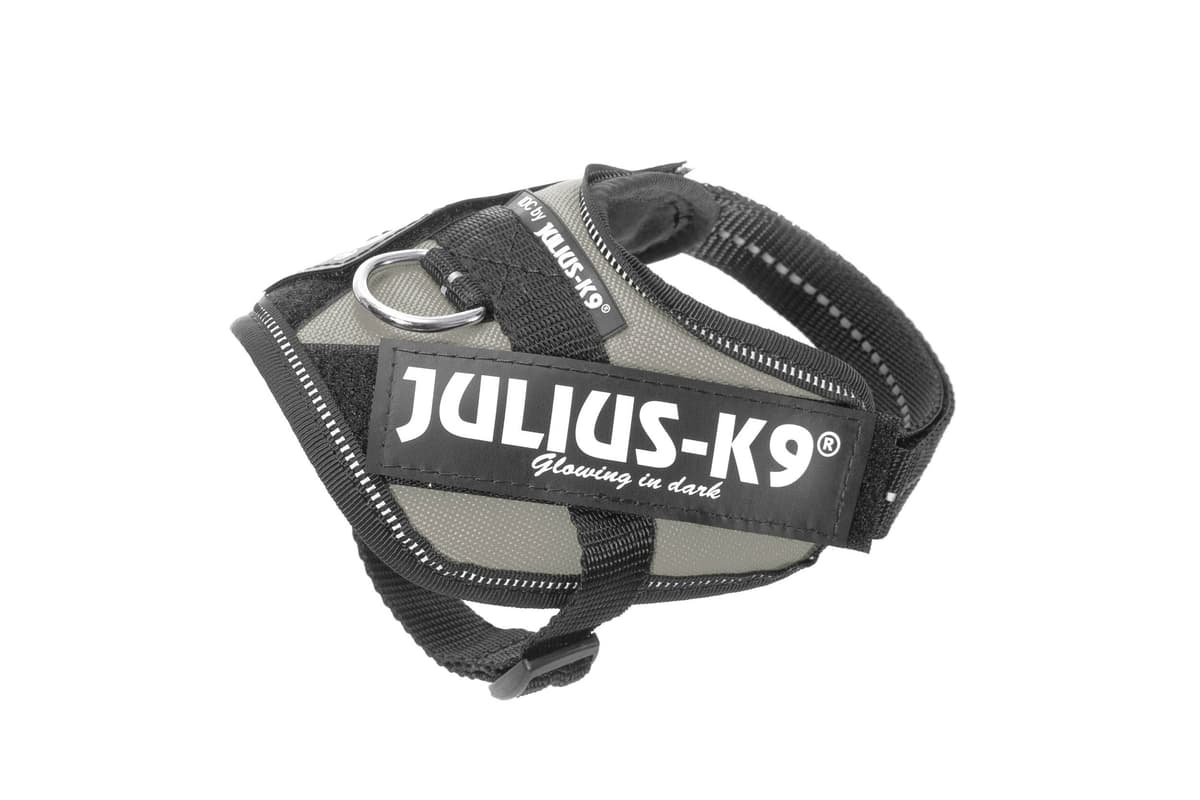 Julius-K9, 16IDC-AM-M, IDC Powerharness, dog harness, Size: Mini, Aquamarine — view 202