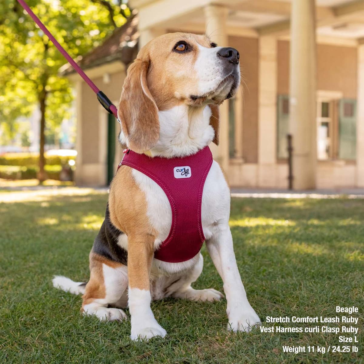 Vest Harness curli Clasp Air-Mesh Brown XS — view 6
