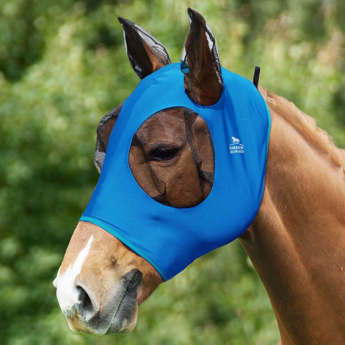Harrison Howard Super Comfort Stretchy Fly Mask Large Eye Space with UV Protection Soft on Skin with Breathability- Azure Blue M