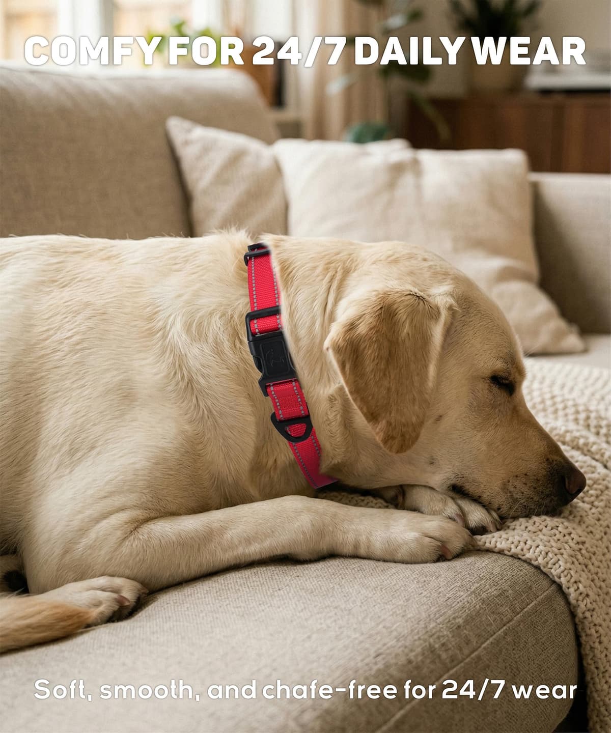 TagME Collar Perro Ajustable,Collar Nylon Reflectante,para Caminar Correr Entrenamiento,para Perros Grandes,Caqui,2.5cm De Ancho — view 4